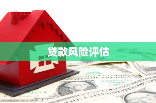 聂荣贷款风险评估