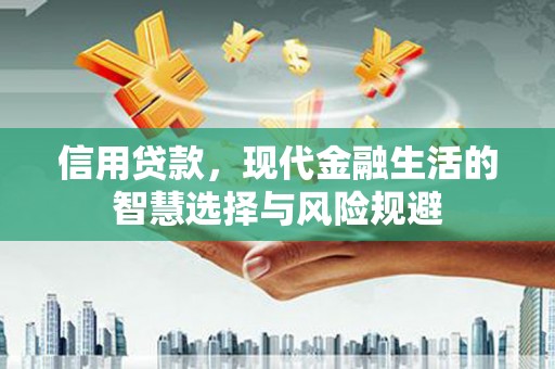聂荣信用贷款，现代金融生活的智慧选择与风险规避