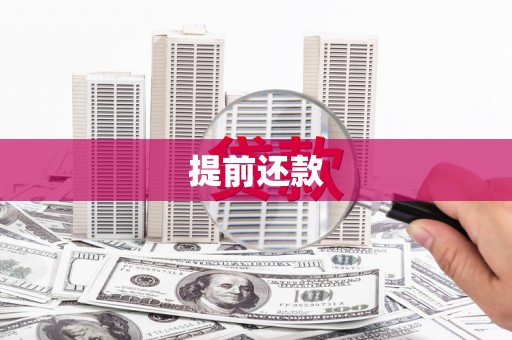 聂荣提前还款