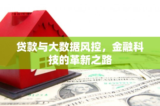 聂荣贷款与大数据风控，金融科技的革新之路