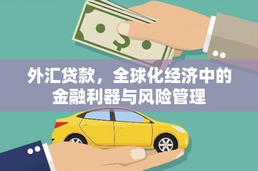 聂荣外汇贷款，全球化经济中的金融利器与风险管理