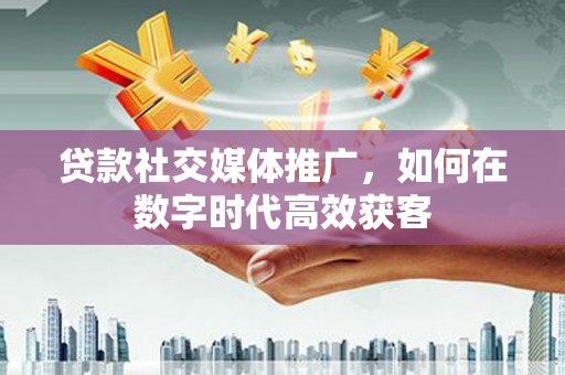 聂荣贷款社交媒体推广，如何在数字时代高效获客