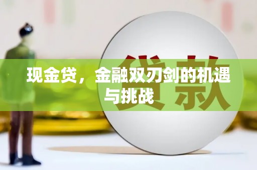 聂荣现金贷，金融双刃剑的机遇与挑战