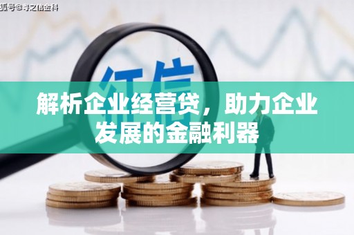 聂荣解析企业经营贷，助力企业发展的金融利器
