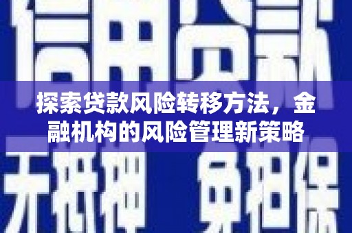 聂荣探索贷款风险转移方法，金融机构的风险管理新策略