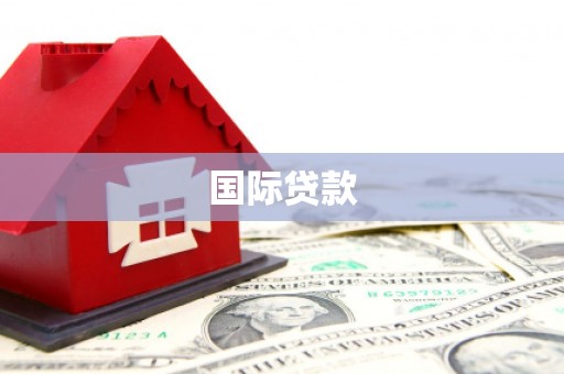 聂荣国际贷款