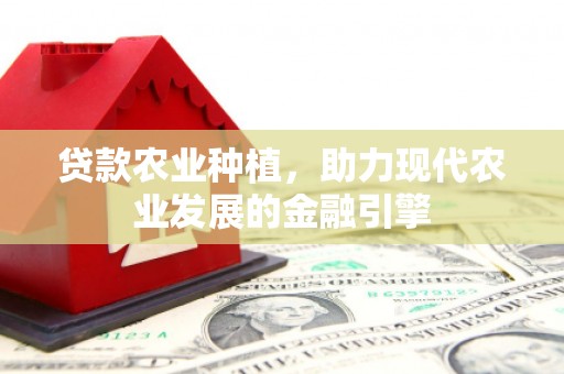 聂荣贷款农业种植，助力现代农业发展的金融引擎
