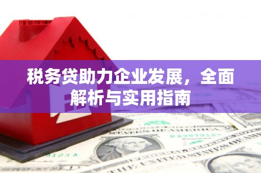聂荣税务贷助力企业发展，全面解析与实用指南