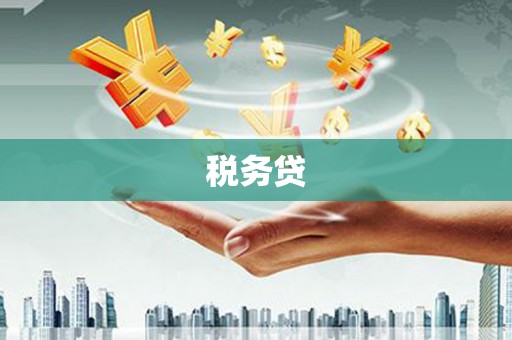 聂荣税务贷
