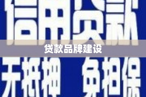聂荣贷款品牌建设