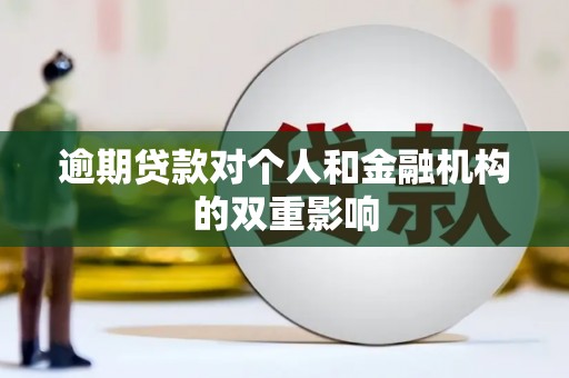 聂荣逾期贷款对个人和金融机构的双重影响