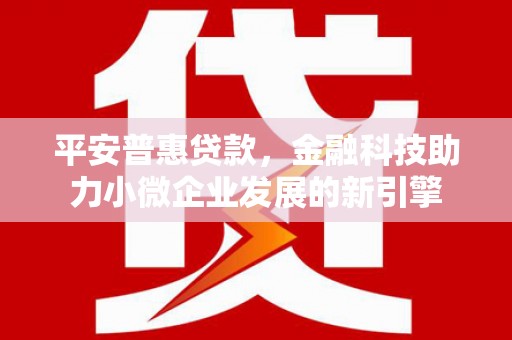 聂荣平安普惠贷款，金融科技助力小微企业发展的新引擎