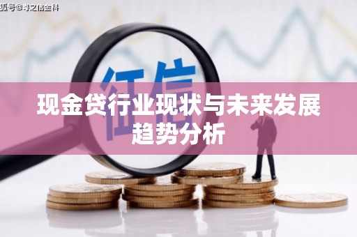 聂荣现金贷行业现状与未来发展趋势分析