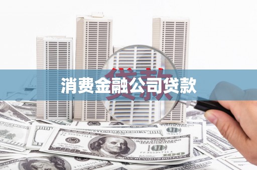 聂荣消费金融公司贷款