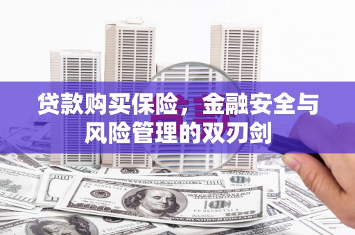 聂荣贷款购买保险，金融安全与风险管理的双刃剑