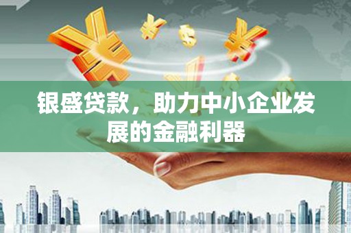 聂荣银盛贷款，助力中小企业发展的金融利器