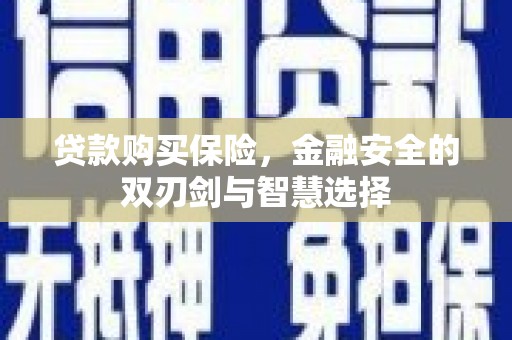 聂荣贷款购买保险，金融安全的双刃剑与智慧选择