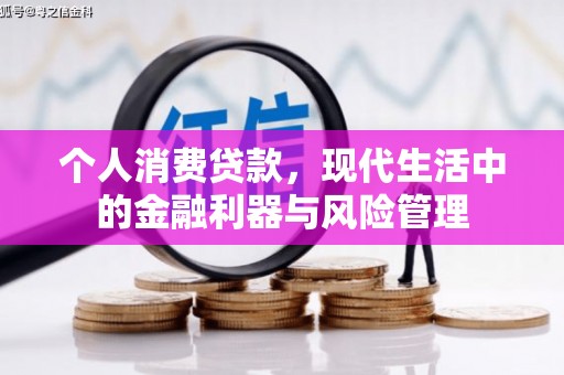 聂荣个人消费贷款，现代生活中的金融利器与风险管理
