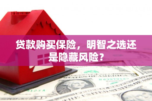 聂荣贷款购买保险，明智之选还是隐藏风险？