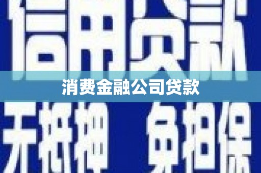 聂荣消费金融公司贷款