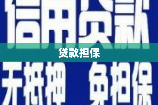 聂荣贷款担保