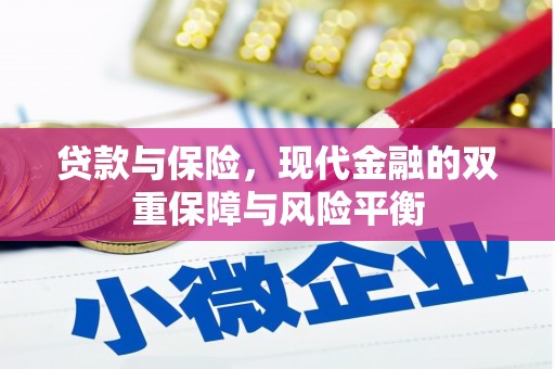 聂荣贷款与保险，现代金融的双重保障与风险平衡