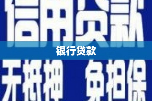 聂荣银行贷款