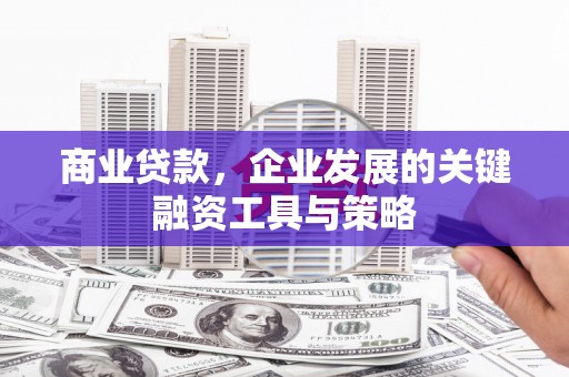 聂荣商业贷款，企业发展的关键融资工具与策略