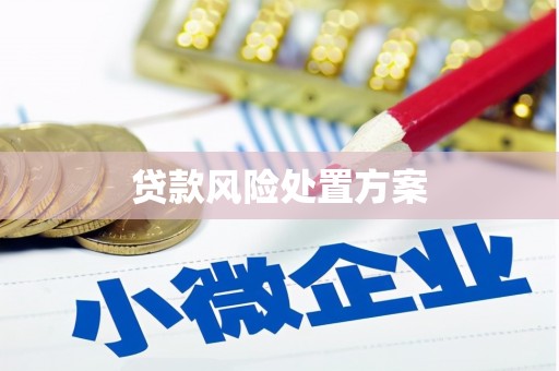 聂荣贷款风险处置方案