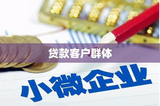 聂荣贷款客户群体
