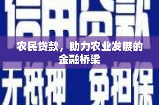 聂荣农民贷款，助力农业发展的金融桥梁