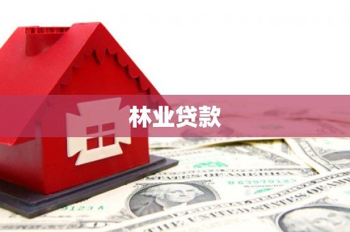 聂荣林业贷款