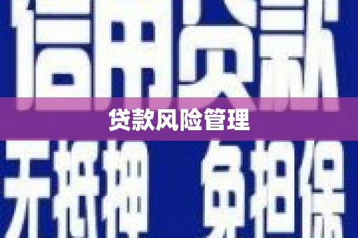聂荣贷款风险管理