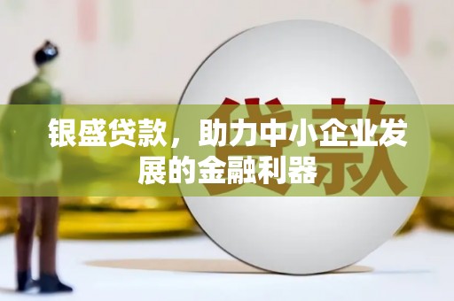聂荣银盛贷款，助力中小企业发展的金融利器