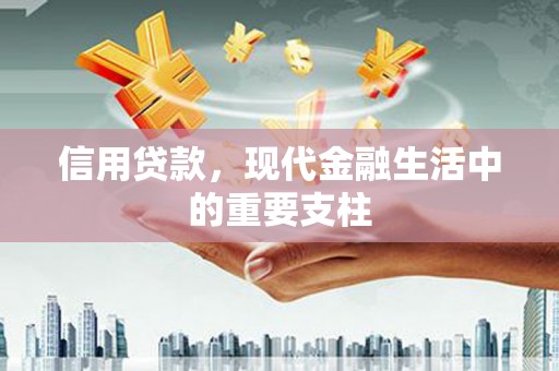 聂荣信用贷款，现代金融生活中的重要支柱
