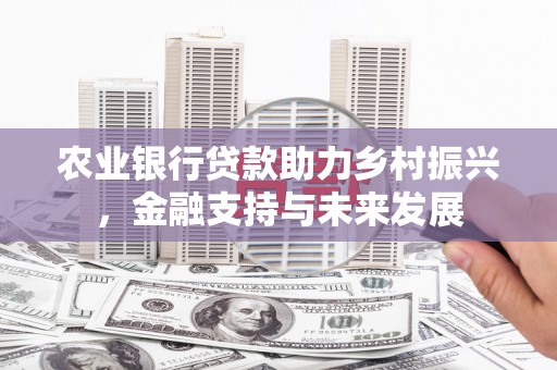 聂荣农业银行贷款助力乡村振兴，金融支持与未来发展