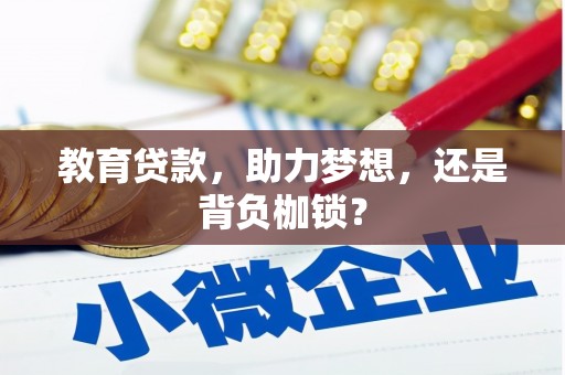 聂荣教育贷款，助力梦想，还是背负枷锁？