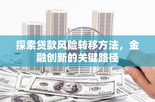 聂荣探索贷款风险转移方法，金融创新的关键路径