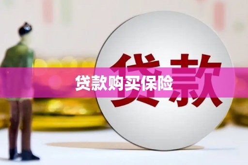 聂荣贷款购买保险