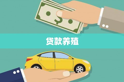 聂荣贷款养殖