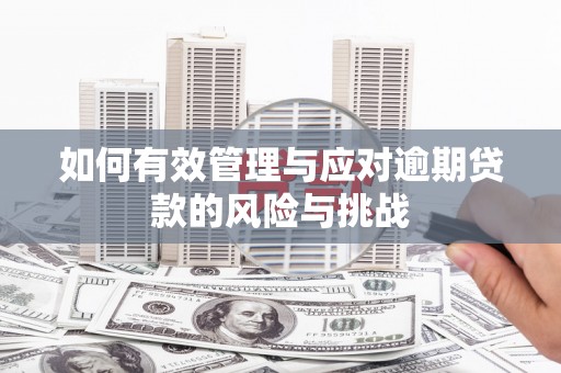 聂荣如何有效管理与应对逾期贷款的风险与挑战