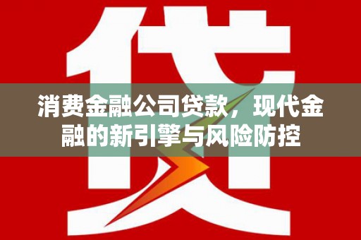 聂荣消费金融公司贷款，现代金融的新引擎与风险防控