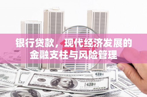 聂荣银行贷款，现代经济发展的金融支柱与风险管理