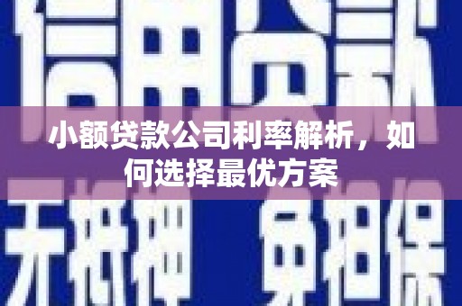 聂荣小额贷款公司利率解析，如何选择最优方案
