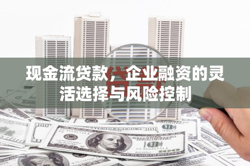 聂荣现金流贷款，企业融资的灵活选择与风险控制
