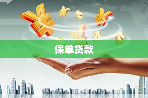 聂荣保单贷款
