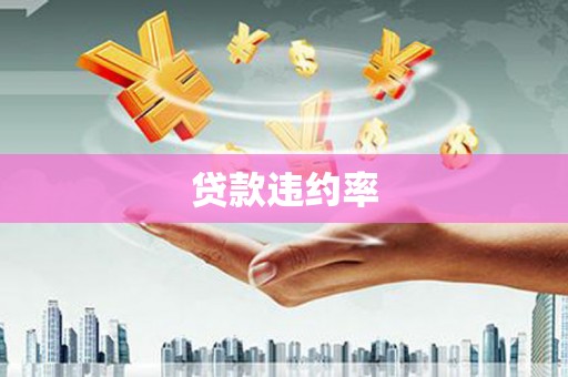聂荣贷款违约率
