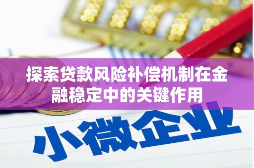 聂荣探索贷款风险补偿机制在金融稳定中的关键作用
