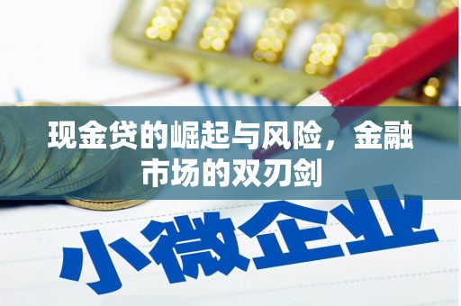 聂荣现金贷的崛起与风险，金融市场的双刃剑