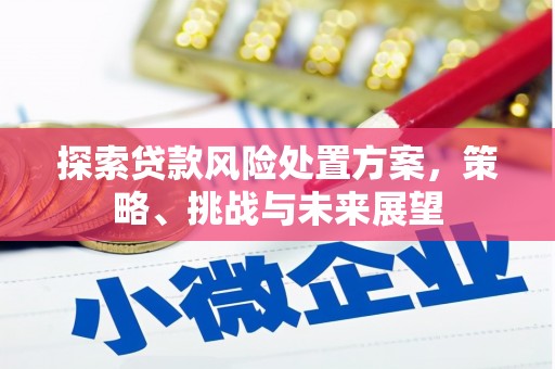 聂荣探索贷款风险处置方案，策略、挑战与未来展望